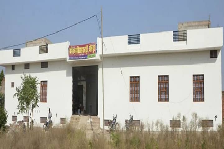 Sarita Mahavidhyalaya campus in Bari, Rajasthan, India — photo 1