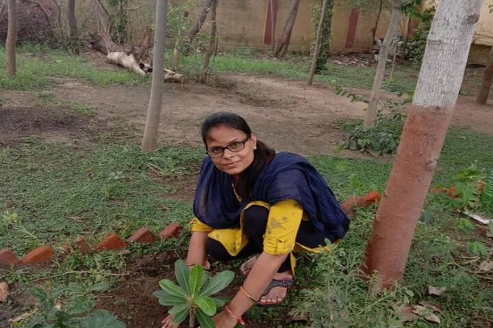 Government Maharshi Arvind College campus in Gohad, Madhya Pradesh, India — photo 3