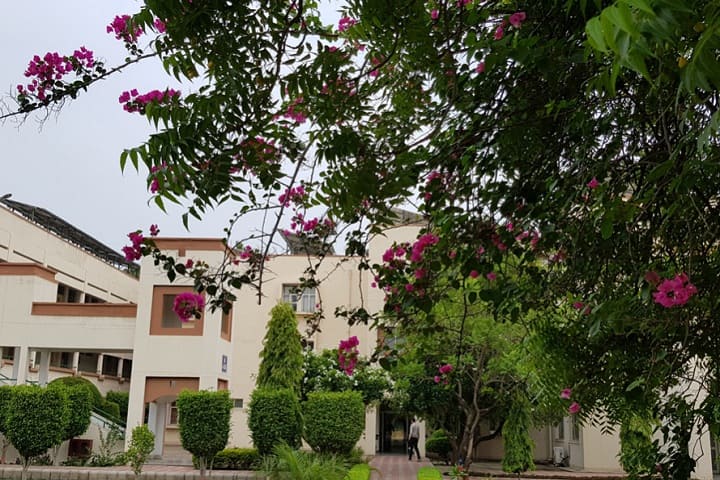 School of Design and Visual Arts campus in Sohna, Haryana, India — photo 3