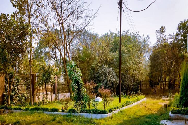 School of Studies in Computer Science and IT campus in Raipur, Chhattisgarh, India — photo 3