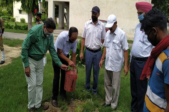 Government College campus in Safidon, Haryana, India — photo 2