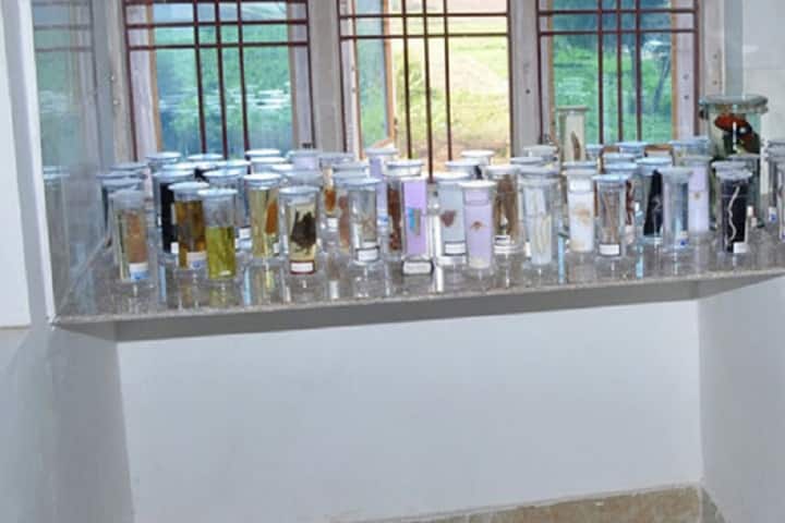 Rajputana PG College campus in Jaipur, Rajasthan, India — photo 2