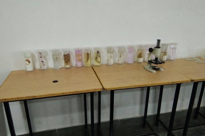 Punit Teacher Training College campus in Bhilwara, Rajasthan, India — photo 2
