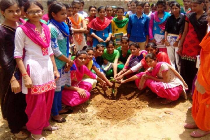 Shri Balaji College, Pacheri campus in Jhunjhunu, Rajasthan, India — photo 5