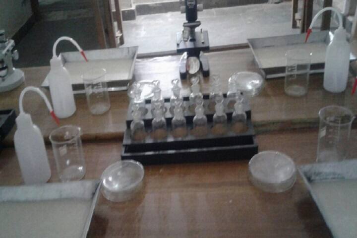 Khatu Shyam Mahavidyalaya campus in Dholpur, Rajasthan, India — photo 4