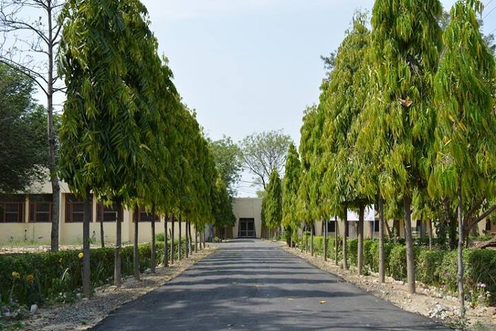 Maharaj Bhuriwale Garibdassi Government College campus in Shaheed Bhagat Singh Nagar, Punjab, India — photo 1
