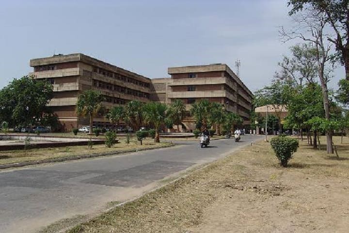 College of Basic Sciences and Humanities campus in Hisar, Haryana, India — photo 1