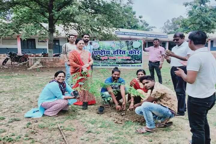 Government Degree College campus in Katni, Madhya Pradesh, India — photo 5