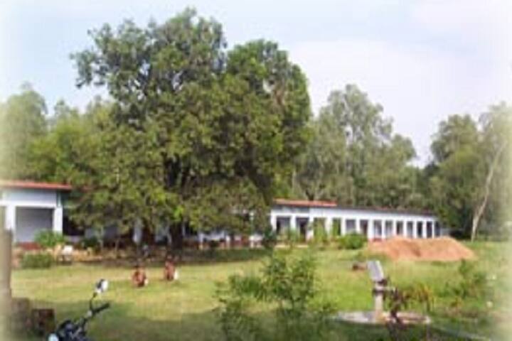 Harishchandra Mahavidyalaya campus in Faizabad, Uttar Pradesh, India — photo 4
