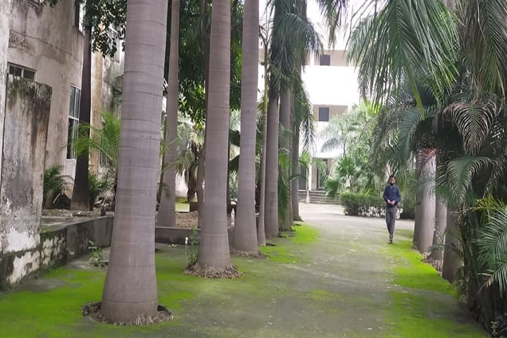 Waseem Turki Muslim Degree College campus in Amroha, Uttar Pradesh, India — photo 3