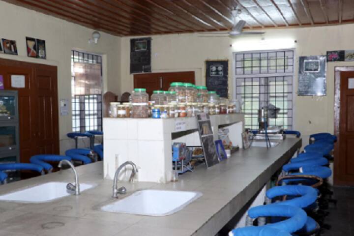 College of Ayurvedic Pharmaceutical Sciences campus in Mandi, Himachal Pradesh, India — photo 4