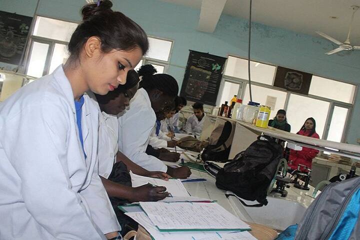 Doaba Business School campus in Mohali, Punjab, India — photo 4