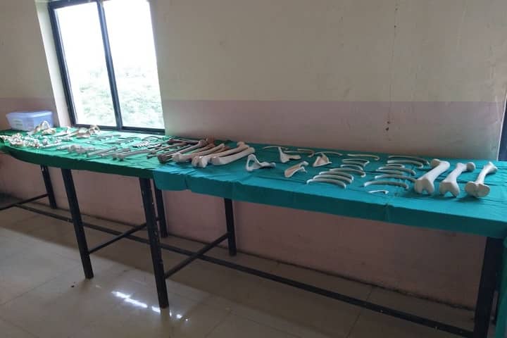 Oyster College Physiotherapy campus in Aurangabad, Maharashtra, India — photo 5