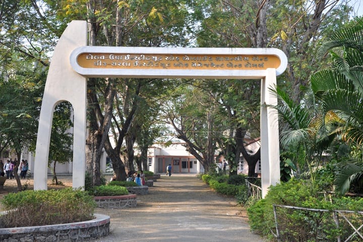 Dolat Usha Institute of Applied Sciences and Dhiru Sarla Institute of Management and Commerce, Valsad campus in Valsad, Gujarat, India