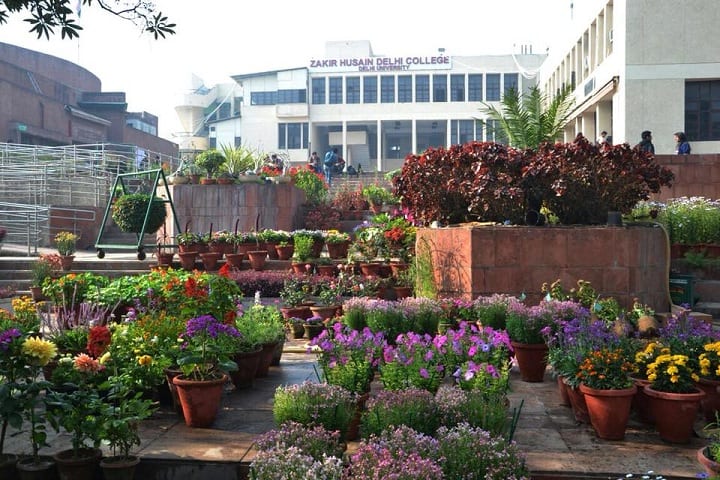Zakir Husain Delhi College campus in New Delhi, Delhi, India — photo 2