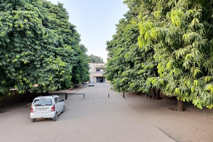 SNKP Government College campus in Sikar, Rajasthan, India — photo 3