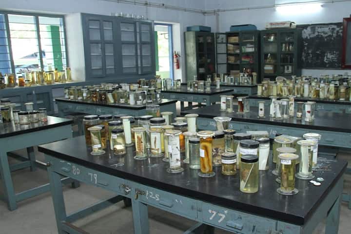 Vijay Mahila Mahavidyalaya campus in Pilani, Rajasthan, India — photo 3