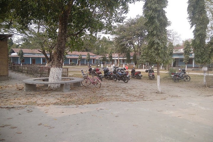 Rowta Degree College campus in Rowta, Assam, India — photo 2