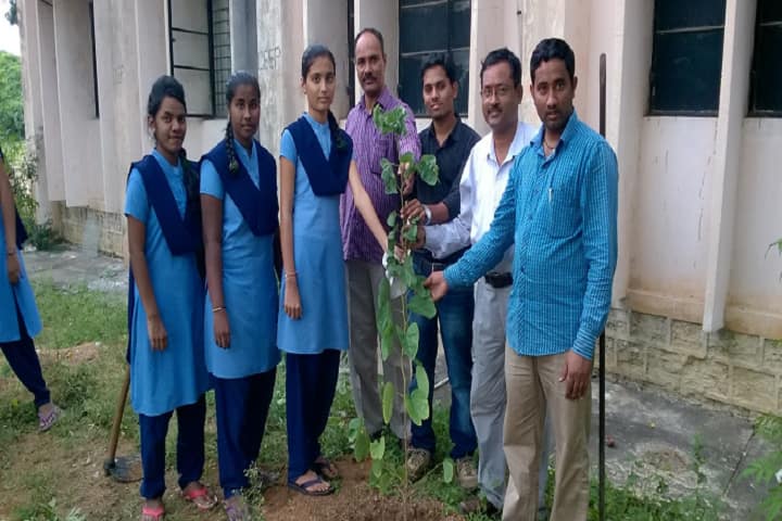 Dr Br Ambedkar Government Model Residential Polytechnic For Women campus in Karimnagar, Telangana, India — photo 5