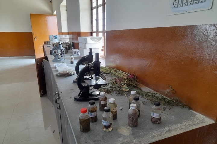 SBN Mahavidyalaya campus in Sikar, Rajasthan, India — photo 2