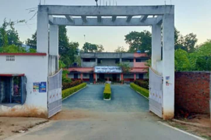 Vindhya Vasini Degree College campus in Paikmal, Odisha, India — photo 1