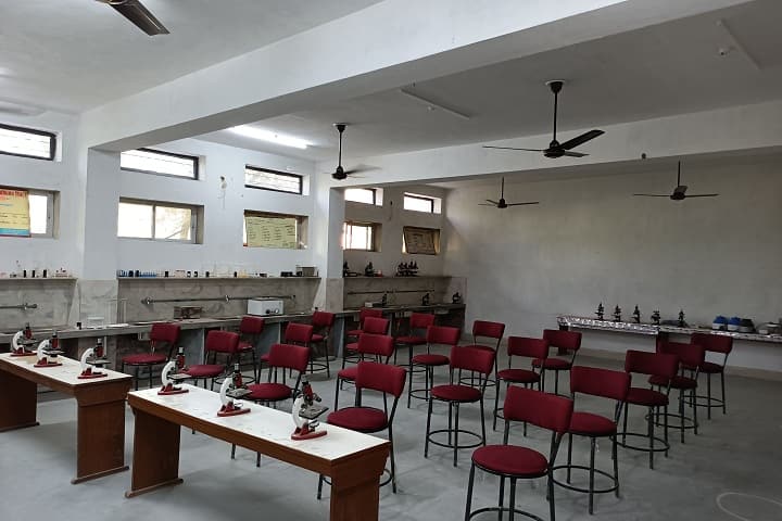 Norang Ram Dayanand Dhukia TT College campus in Jhunjhunu, Rajasthan, India — photo 4