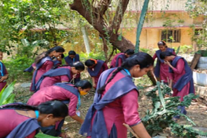 Venkataratna College of Education campus in Kurnool, Andhra Pradesh, India — photo 2