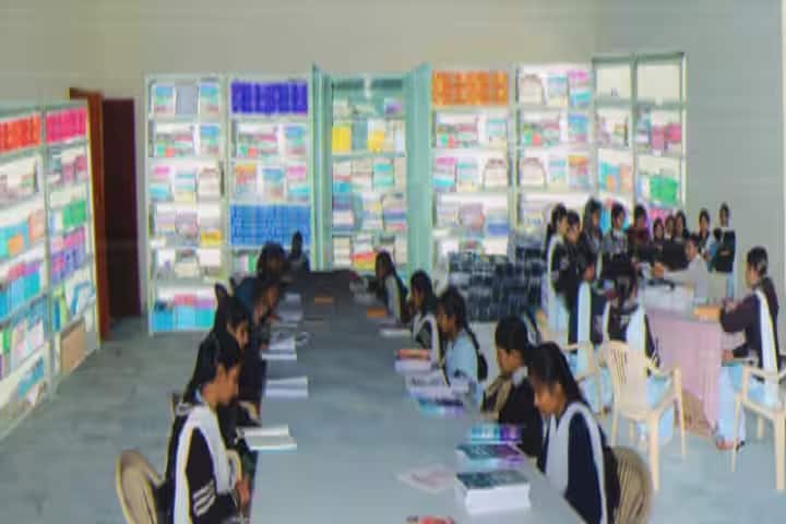 MRS Shri Krishna Parnam Kanya Mahavidyalaya campus in Hanumangarh, Rajasthan, India — photo 5