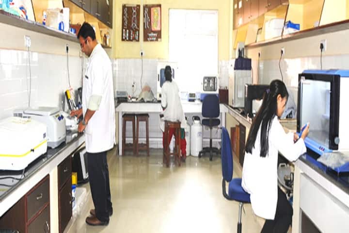 SMIMS Gangtok campus in Gangtok, Sikkim, India — photo 4