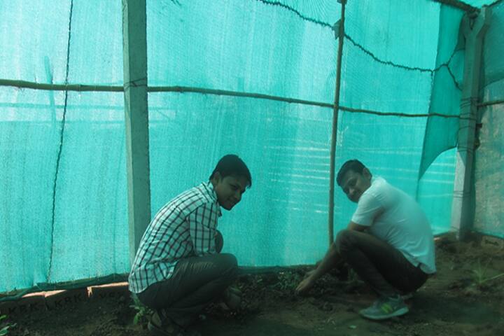RFNS Senior Science College campus in Akkalkuva, Maharashtra, India — photo 5