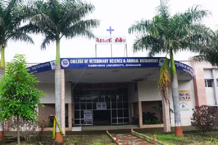 College of Veterinary Science and Animal Husbandry campus in Junagadh, Gujarat, India — photo 1