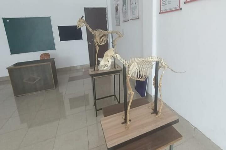 Balaji College of Veterinary Science and Research Center campus in Bhiwani, Haryana, India — photo 4