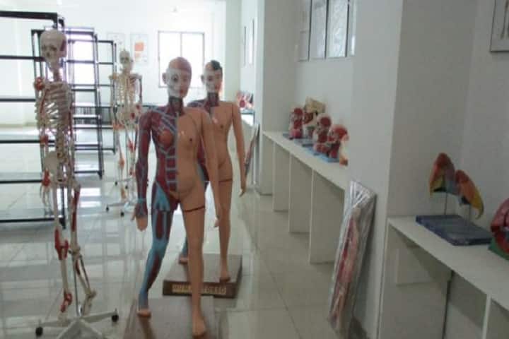 American International Institute of Medical Sciences campus in Udaipur, Rajasthan, India — photo 3