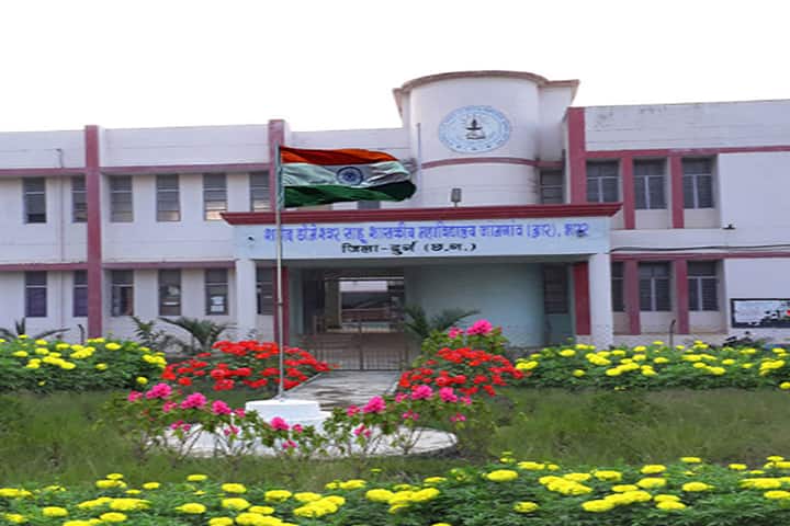 Shahid Domeshwar Sahu Government College campus in Durg, Chhattisgarh, India — photo 1