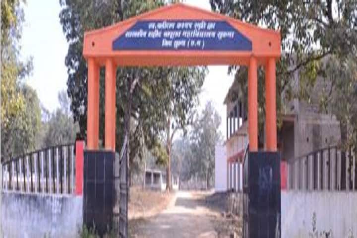 Government Shaheed Bapurao PG College campus in Sukma, Chhattisgarh, India — photo 1