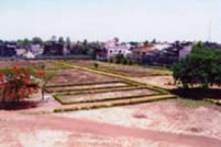 Yashwantrao Chavan Mahavidyalaya campus in Solapur, Maharashtra, India — photo 6