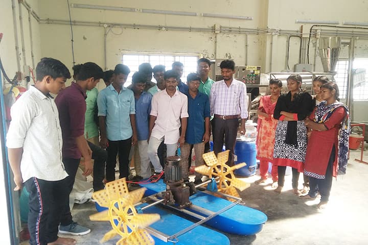 Paraprofessional institute of Aquaculture Technology campus in Muttukadu, Tamil Nadu, India — photo 2