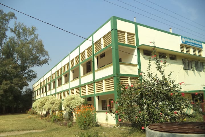 Holy Cross Basic Training Institute campus in Pathalgaon, Chhattisgarh, India — photo 1