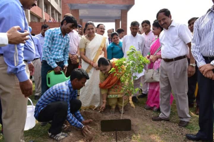 Government Rehabilitation Institute for Intellectual Disabilities campus in Chandigarh, India — photo 4