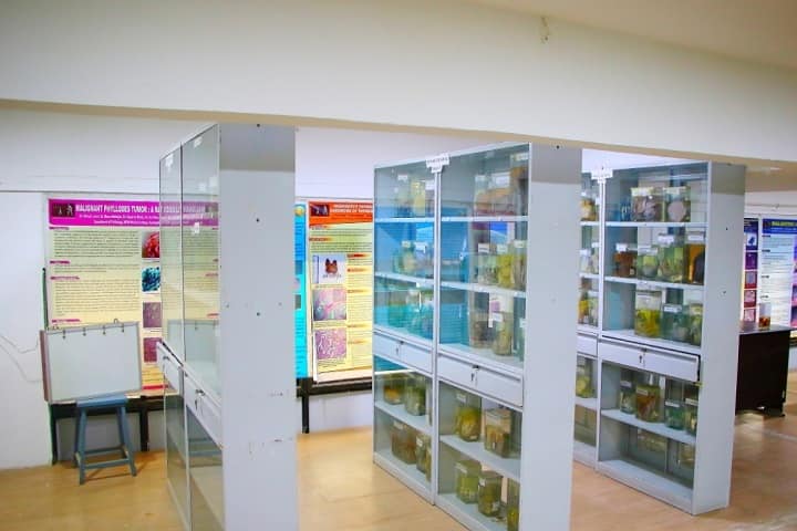 MGM Medical College campus in Aurangabad, Maharashtra, India — photo 5
