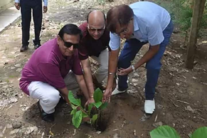 JS Hindu PG College campus in Amroha, Uttar Pradesh, India — photo 5