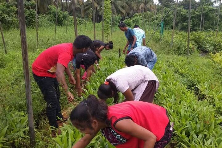 Ramanata Crisna Pai Raikar School of Agriculture campus in Ponda, Goa, India — photo 4