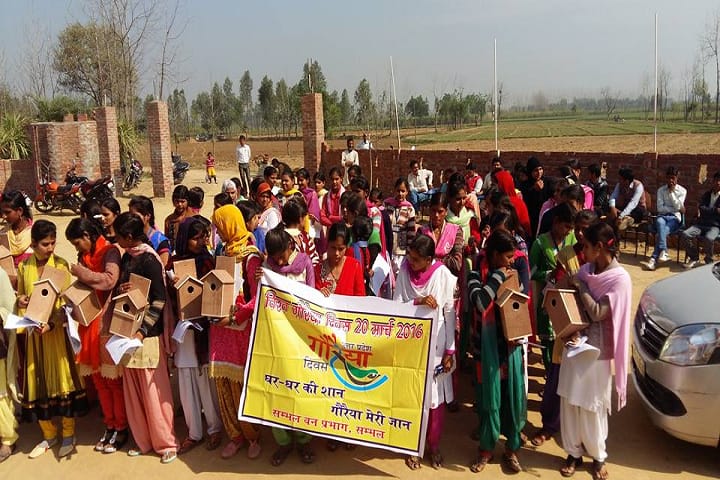 Shree KS Degree College campus in Sambhal, Uttar Pradesh, India — photo 2