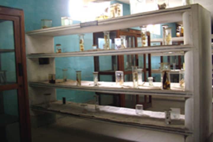 Government Model Science College campus in Gwalior, Madhya Pradesh, India — photo 4