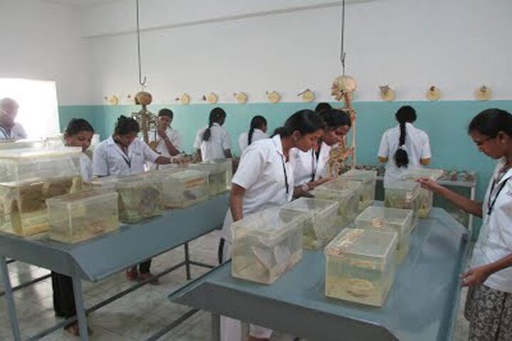 JKK Nattraja Dental College and Hospital campus in Komarapalayam, Tamil Nadu, India — photo 6