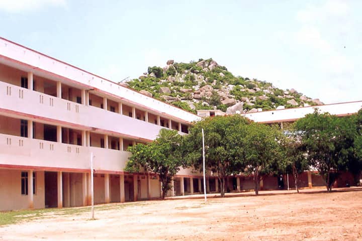 Sri Venkateswara College of Computer Sciences campus in Muthirevula, Andhra Pradesh, India — photo 1