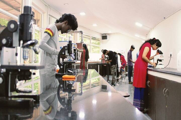 Tips College of Arts and Science campus in Coimbatore, Tamil Nadu, India — photo 6