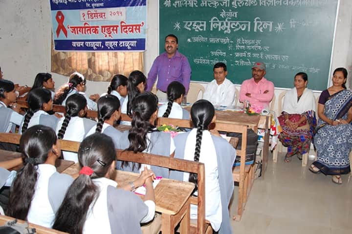 Shri Dnyaneshwar Maskuji Burungale Science and Arts College campus in Shegaon, Maharashtra, India — photo 3