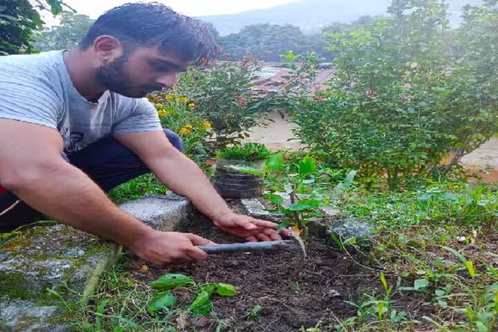 Government Degree College campus in Pithoragarh, Uttarakhand, India — photo 5