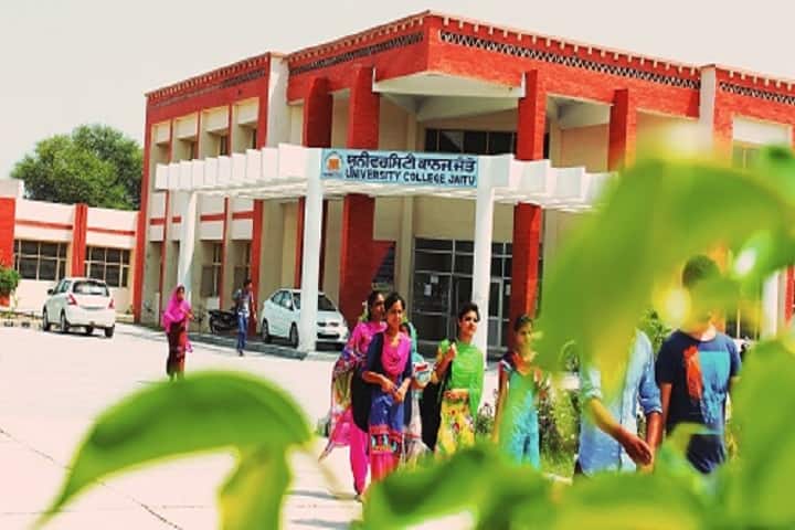 University College campus in Faridkot, Punjab, India — photo 2